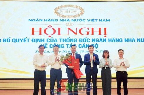 Ngân hàng Nhà nước Chi nhánh Khu vực 3 triển khai nhiệm vụ quý IV năm 2026