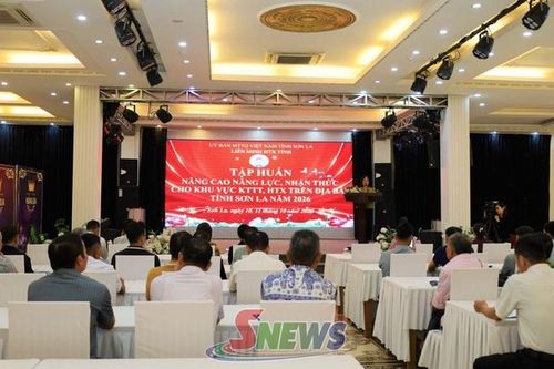 Tập huấn nâng cao năng lực cho khu vực kinh tế tập thể, hợp tác xã