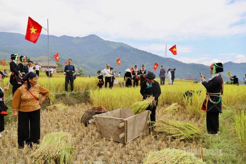 Lễ hội 'Mùa vàng - Làng nhà rêu' Xà Phìn năm 2026