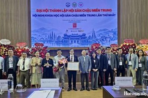 Thành lập Hội Sàn chậu miền Trung: Bước tiến mới cho chuyên ngành y tế khu vực