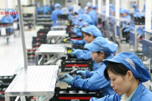 Quỹ Hỗ trợ việc làm ngoài nước: Từ hỗ trợ rủi ro đến chủ động bảo vệ người lao động
