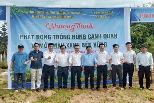 Sức sống mới từ chính sách chi trả dịch vụ môi trường rừng ở Đà Nẵng
