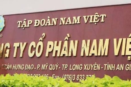 Thủy sản Nam Việt (ANV) chi hơn 266 tỷ đồng trả cổ tức, lợi nhuận bán niên sụt giảm do áp lực chi phí