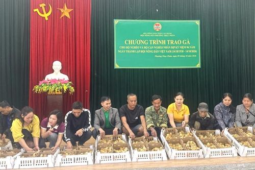 Phường Thục Phán bàn giao 2.950 con gà giống cho hộ nghèo và cận nghèo
