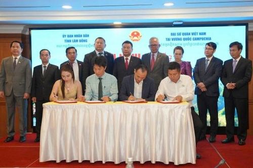Lâm Đồng đẩy mạnh hợp tác quốc tế, mở rộng thị trường nông sản