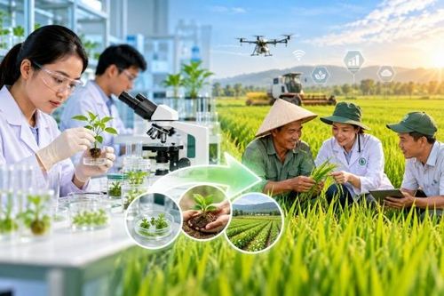 Đưa khoa học nông nghiệp từ phòng thí nghiệm ra đồng ruộng