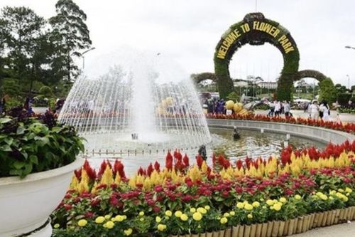 Lâm Đồng: 52 xã, phường, đặc khu chậm triển khai nhiệm vụ cho Festival Hoa lần thứ XI - năm 2026