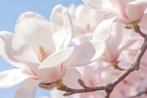 Giờ sinh Âm lịch của đứa trẻ 'vượng gia': Con càng lớn, gia đình càng hưởng phúc