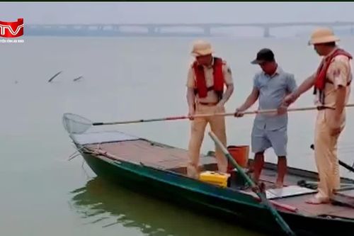 Hành vi dùng kích điện đánh bắt cá là vi phạm pháp luật như thế nào?