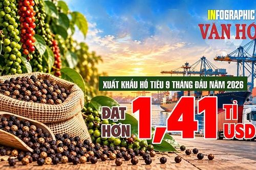 1,41 tỉ USD xuất khẩu hồ tiêu: Mỹ đang hút hàng Việt ra sao?