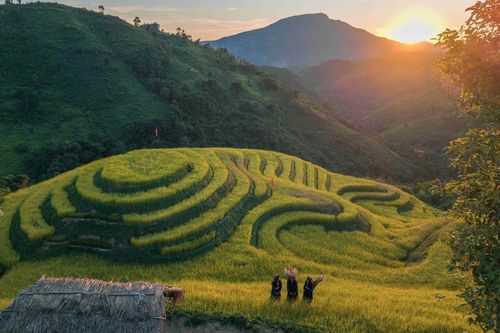Khám phá vùng cao Pu Nhi qua sắc vàng ruộng bậc thang và sắc màu văn hóa Mông