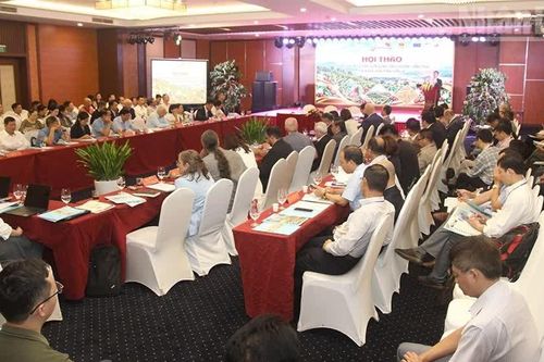 Sơn La phát triển cà-phê bền vững, nâng tầm giá trị Arabica
