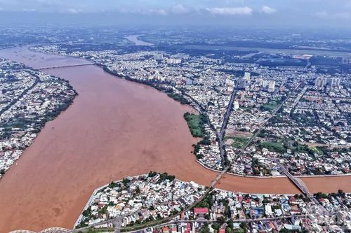 [Ảnh] Hình ảnh flycam sông Đồng Nai nhuộm màu phù sa mùa nước lũ