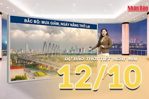 [Video] Dự báo thời tiết đêm nay và ngày mai 12/10/2026: Mưa thu hẹp dần tại Trung Bộ, Nam Bộ có mưa rào về chiều tối