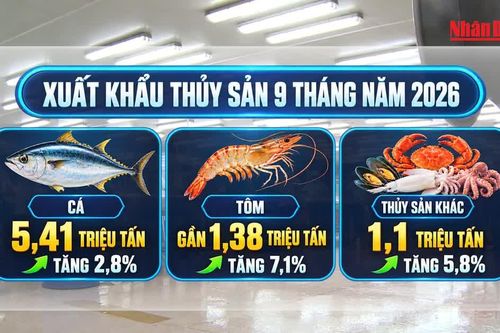 [Video] Ngành thủy sản hướng tới mục tiêu xuất khẩu 12 tỷ USD