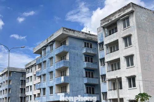 TPHCM: Gần 1.000 căn hộ tái định cư được đề xuất làm nhà ở công nhân