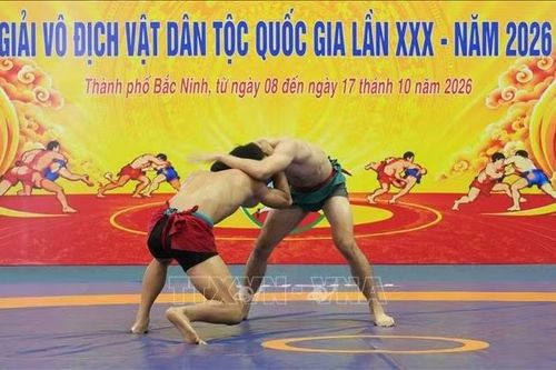 Khai mạc Giải vô địch Vật dân tộc quốc gia lần thứ XXX