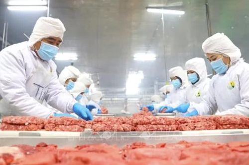 Tận dụng lợi thế CEPA, mở đường cho nông sản Việt vào UAE