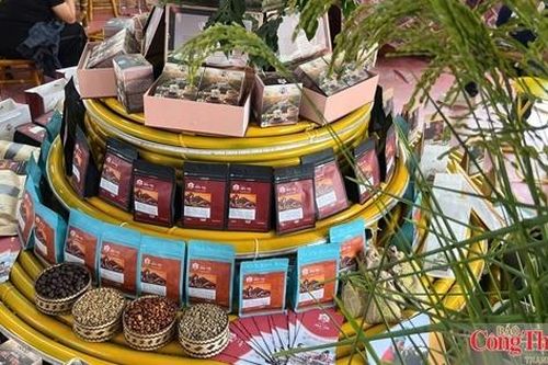 Thương vụ Việt Nam đồng hành, kết nối xuất khẩu cà phê Sơn La