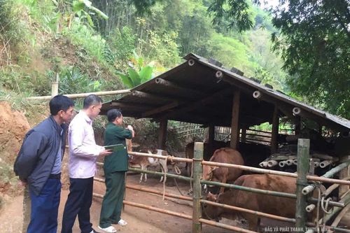Đồng hành cùng hộ nghèo phát triển kinh tế