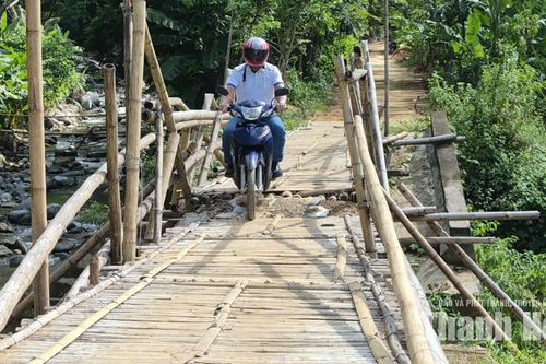 Cận cảnh cây cầu tạm bằng tre, luồng thay thế cầu cứng bị lũ cuốn trôi