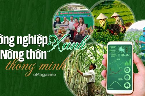 Nông nghiệp xanh và nông thôn thông minh