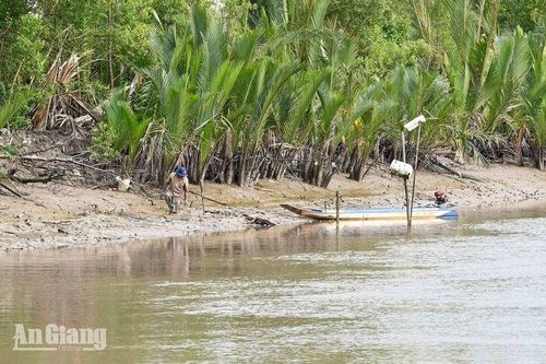 Về quê, bắt sò huyết ven sông