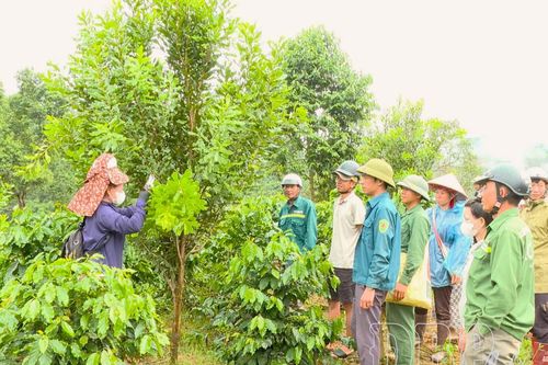 Nâng cao hiệu quả sản xuất chương trình mục tiêu quốc gia