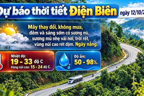 Bản tin Dự báo thời tiết ngày 12/10/2026