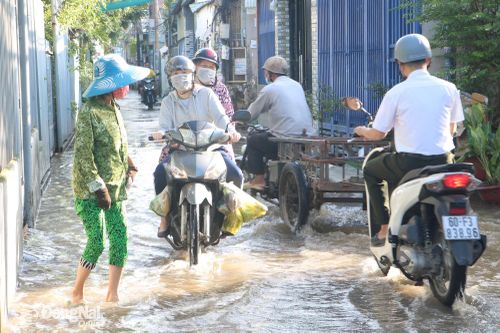 Triều cường sông Cái dâng cao, khu dân cư tại phường Tam Hiệp bị ngập cục bộ