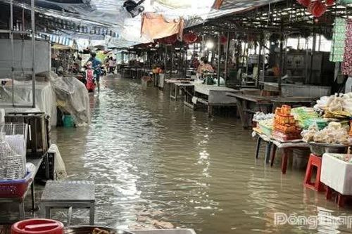 Đồng Tháp: Triều cường vượt mức báo động 3, gây ngập nhiều khu vực