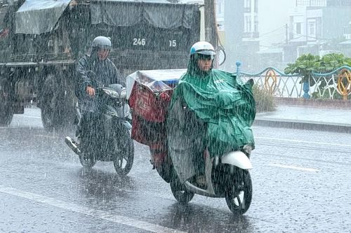 Mưa lớn ở phía Đông tỉnh Gia Lai, có nơi vượt 190 mm