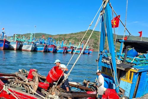 Chủ động thích ứng thời tiết, nâng cao hiệu quả khai thác hải sản