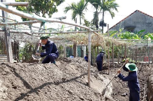 Gia Lai thành lập Tổ nghiên cứu chuyên sâu về tìm kiếm, quy tập và xác định danh tính hài cốt liệt sĩ
