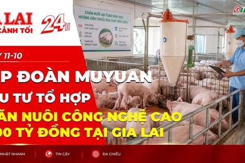 Toàn cảnh Gia Lai 24h: Tập đoàn Muyuan đầu tư tổ hợp chăn nuôi công nghệ cao 3.100 tỷ đồng tại Gia Lai
