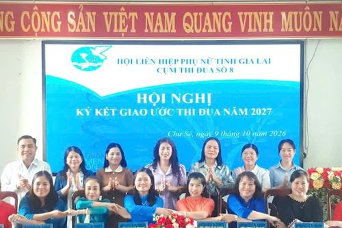 Cụm thi đua số 8 Hội LHPN tỉnh Gia Lai: Hơn 200 tỷ đồng vốn vay tiếp sức phụ nữ phát triển kinh tế