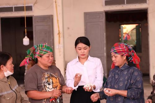 Tổ khuyến nông cộng đồng ở Lào Cai cần thêm nguồn lực để phát triển bền vững