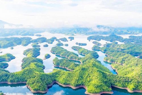 Khám phá Lâm Đồng qua những điểm đến đặc biệt