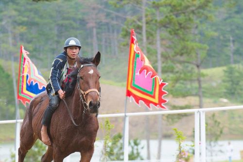 Lang Biang - Đà Lạt làm mới diện mạo, hút khách mùa Festival Hoa 2026