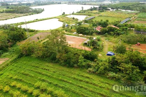 Những 'ông chủ' trên vùng đồi Ba Trang