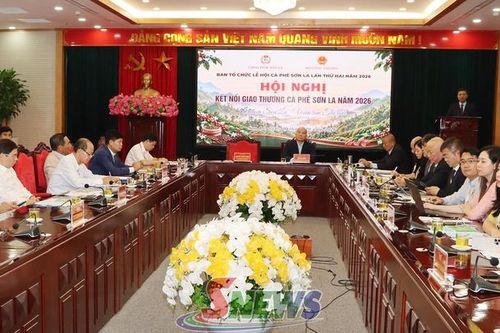 Kết nối giao thương đưa Arabica Sơn La vươn tầm thế giới