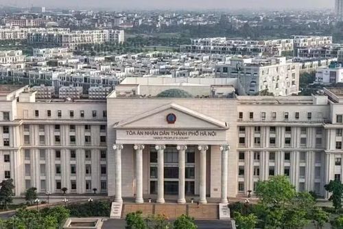 Cựu Phó Tổng Giám đốc Công ty Cadisun có đơn xin giảm nhẹ tội