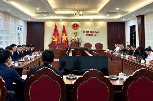 Gia Lai sắp có tổ hợp chăn nuôi heo công nghệ cao quy mô 2 triệu con