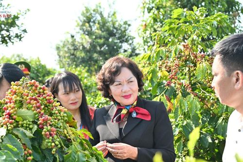 Phó Chủ tịch Quốc hội Nguyễn Thị Hồng thăm các mô hình nông nghiệp tiêu biểu tại Sơn La
