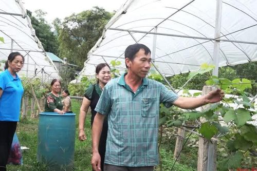 Gắn kết cộng đồng và phát triển kinh tế từ câu lạc bộ liên thế hệ tự giúp nhau