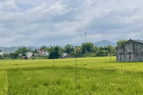 Ngày 12/10 không mưa, sáng sớm có sương mù nhẹ, đêm và sáng trời lạnh