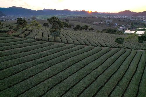 Bài 2: Thu nhập nông thôn gấp 2,5-3 lần – đích đến nhiều thách thức