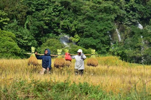 Bản làng vào tour. Kỳ 1: Những người 'đánh thức' bản làng