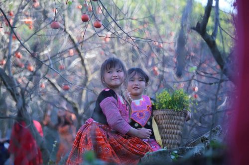 Bài 3: Từ thẩm định đến thực thi – lắng nghe để làm tốt hơn