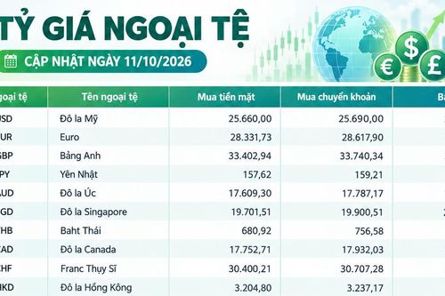 Tỷ giá ngoại tệ ngày 11/10: USD vượt 26.000 đồng, franc Thụy Sĩ vượt 31.600 đồng
